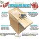 Wooden Scarebox Spider Funny Gift