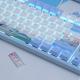 DAREU A87 Mechanical Keyboard Swallow Theme Wired Ice Blue Backlight 87 Keys Cherry MX Switch Blue PBT Keycaps