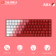 Dareu A84 Tri-mode Connection 100% Hotswap RGB LED Backlit Mechanical Gaming Keyboard With Customized TTC Flame Red Switch
