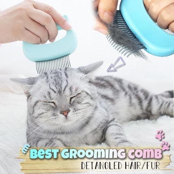 Pet Massaging Hair Removal  Shell Comb(buy 1 get 2 in total)