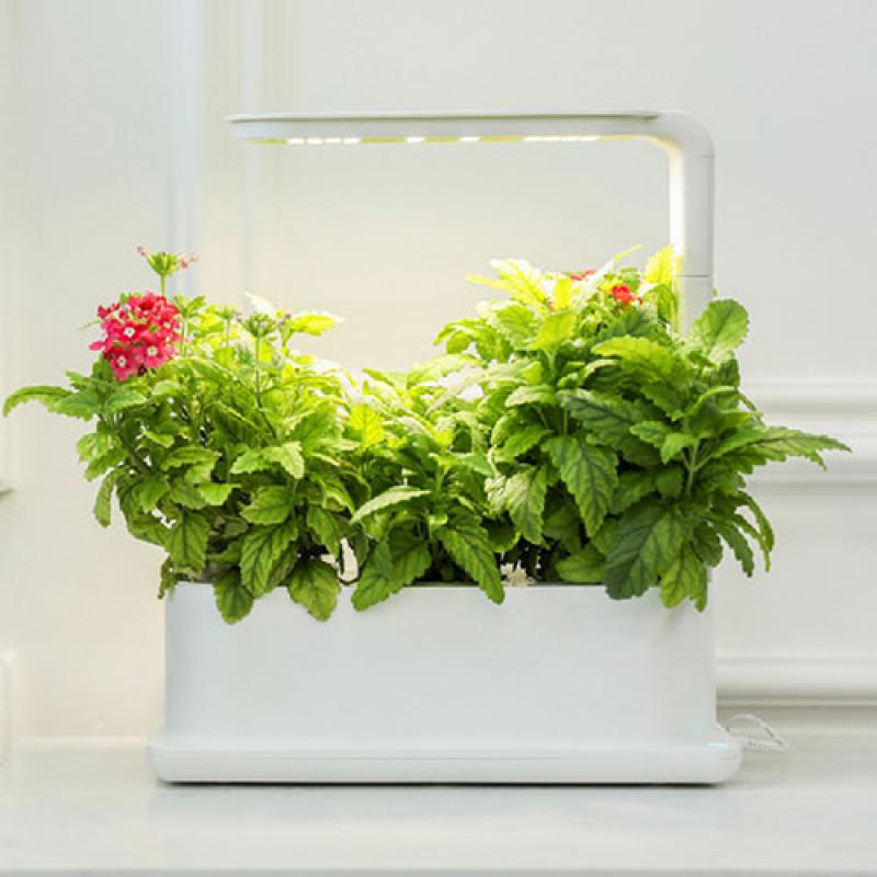 LifeSmart 2021 Newest Farm Smart Hydroponic Micro Garden Organic Vegetable Flower Pot with Led Grow Light