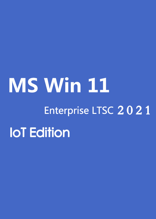MS Win 11 Enterprise LTSC 2024 IoT Edition CD  Key Global