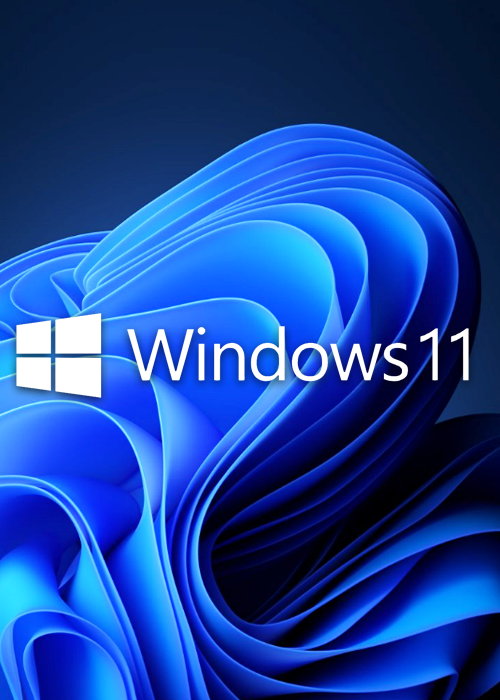 MS Windows 11 Pro OEM KEY GLOBAL-Lifetime